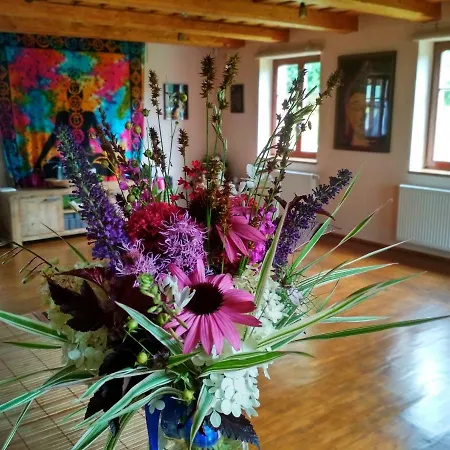 乡村民宿 Yoga Zahoranky Český Krumlov